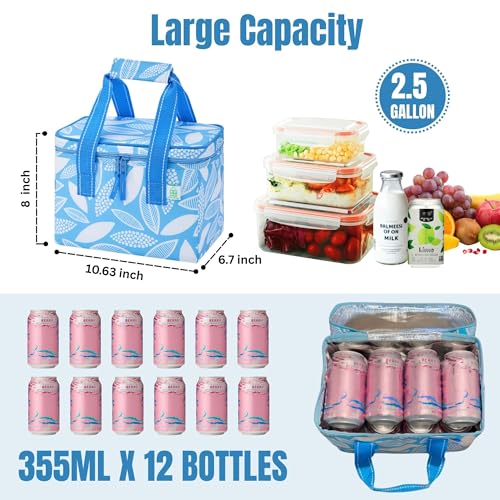 VENO Insulated Lunch Bag - 2 Pack Spring Breeze, Reusable Cooler