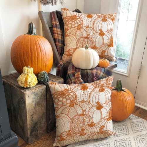 RABUSOFA Pumpkin Pillow Covers 18x18 (Set of 2) - Fall Outdoor Decor