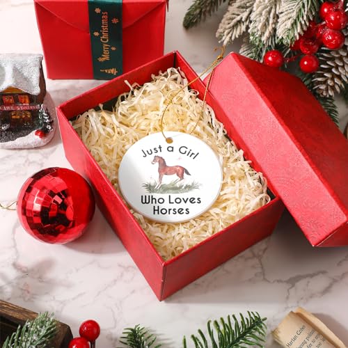 Ceramic Horse Christmas Ornament - Inspirational Animal Lover Hanging Decor
