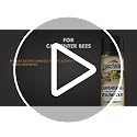 Spectracide Carpenter Bee & Yellowjacket Killer Foaming Aerosol - 16 Oz, 12 Pack