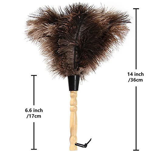 iHUFeather 14-Inch Ostrich Feather Duster - 2 Pieces, Eco-Friendly with Wooden Handle