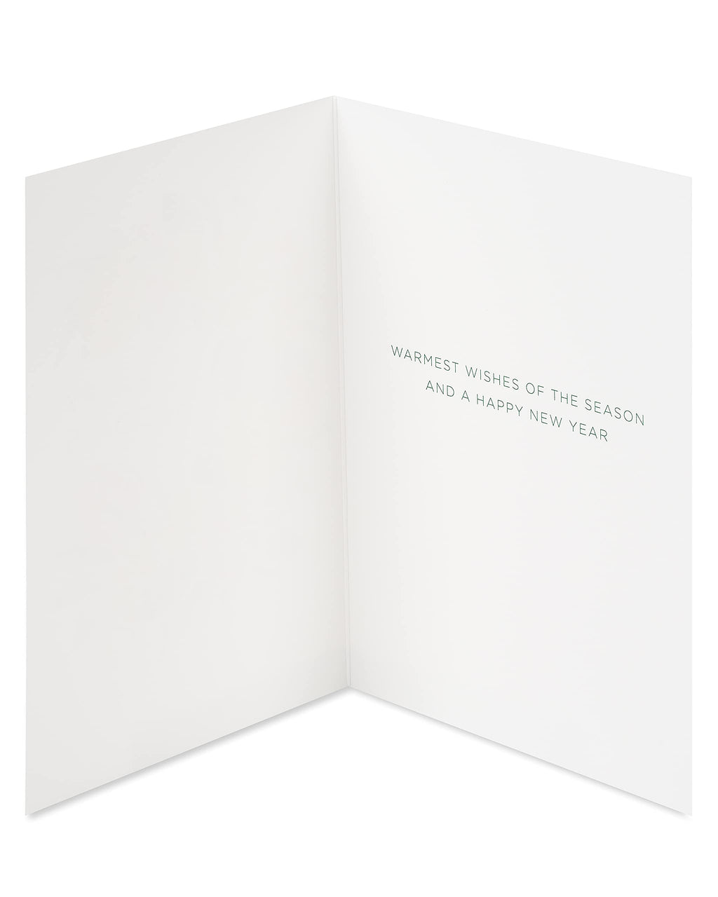 Papyrus Boxed Christmas Cards with Envelopes, Wishes of the Season, Citrus Wreath (14-Count)
