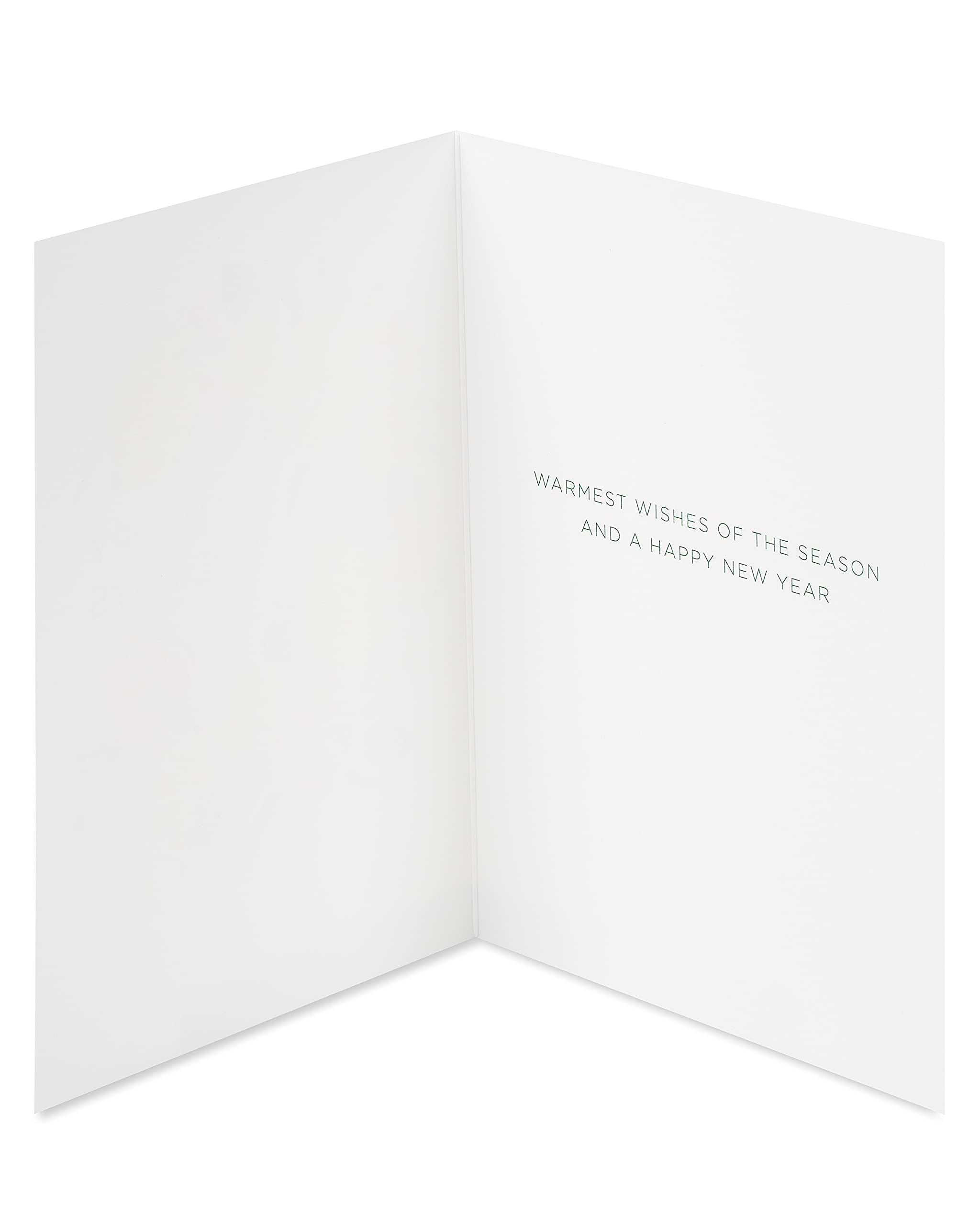 Papyrus Boxed Christmas Cards with Envelopes, Wishes of the Season, Citrus Wreath (14-Count)