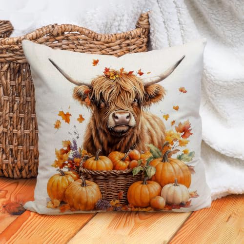 Highland Cow Autumn Pillow Cover 18x18 - Fall Decor with Pumpkins