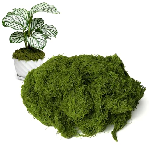 50g Fake Moss for Crafts - Realistic Decorative Moss for DIY