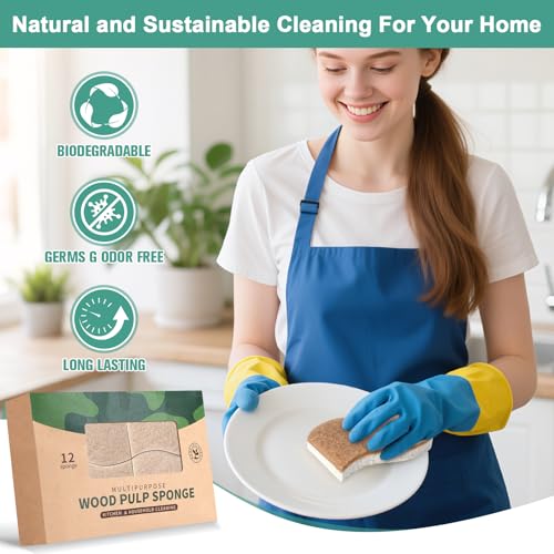12-Pack Natural Kitchen Sponges, Biodegradable Cellulose & Coconut Scrubbers