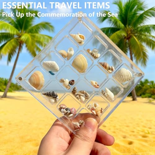 16-Grid Acrylic Display Box with Magnetic Lid - Seashell Organizer