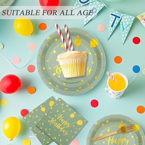Sage Green and Gold Birthday Party Tableware Set - 72PCS