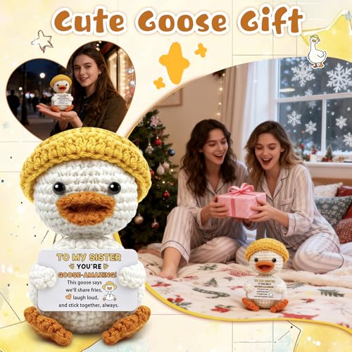 Handmade Positive Goose Crochet Doll for Sisters & Friends