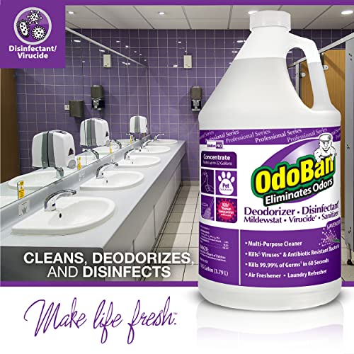 OdoBan Professional Lavender Disinfectant Concentrate 2-Pack