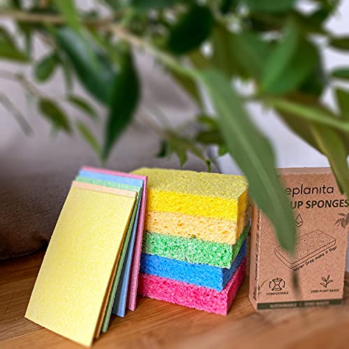 EPLANITA Natural Cellulose Pop-Up Sponges – 10 Pack Eco-Friendly Scrubbers