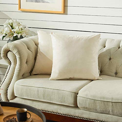 Pack of 2 White Velvet Throw Pillow Covers 18x18 Inch for Sofa