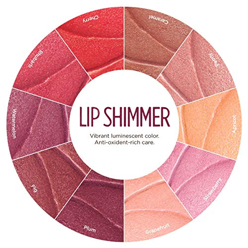 Burt's Bees Lip Shimmer, Fig - 0.09 oz Moisturizing Tinted Lip Balm