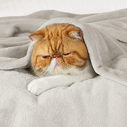 Bedsure Twin Fleece Blanket - Soft, Lightweight & Cozy Beige