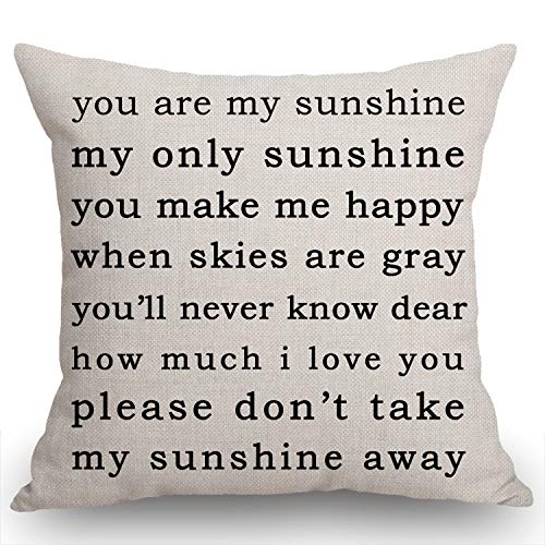You Are My Sunshine Farmhouse Throw Pillow Cover 18x18, Sw-013