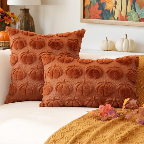OTOSTAR Pumpkin Fall Pillow Cover 20x20 Inch Rust Plush Faux Fur