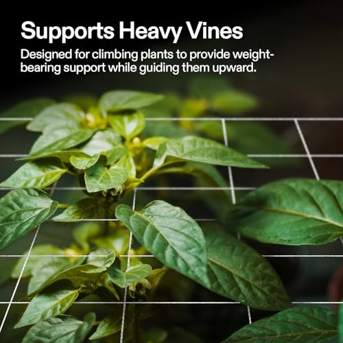 VIVOSUN 5x15 ft Heavy-Duty Plant Trellis Netting for Climbing Plants