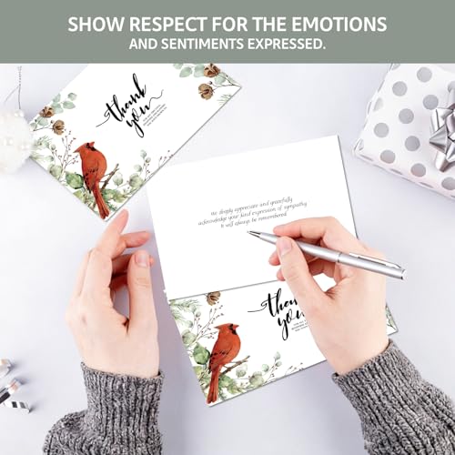 C2U 24 Pack Cardinal Sympathy Thank You Cards with Envelopes