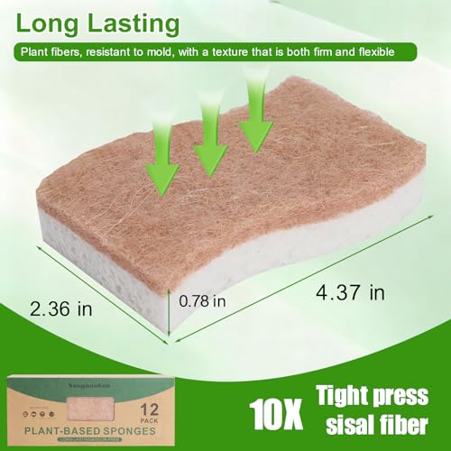 Eco-Friendly Natural Kitchen Sponges 12-Pack – Biodegradable Dual-Layer Dish Scrubbers