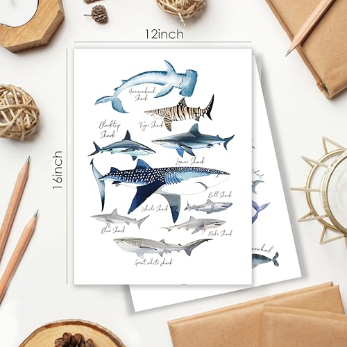 Shark and Whale Ocean Wall Art Prints Set of 4 - 12x16 Unframed