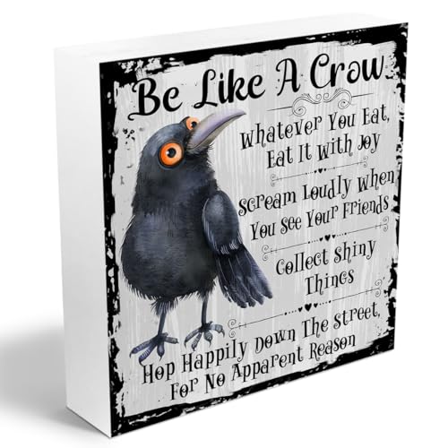 Funny Crow Wooden Box Sign - 5x5 Inspirational Decor Gifts, White 1157