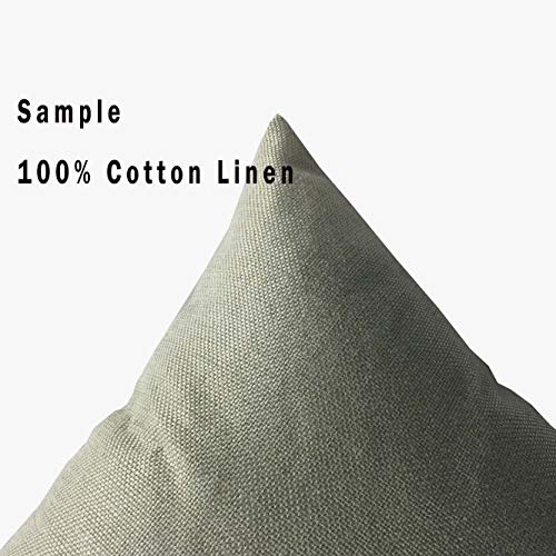 AOYEGO Blueberry Pillow Cover 12x20 Inch Rectangle Cotton Linen