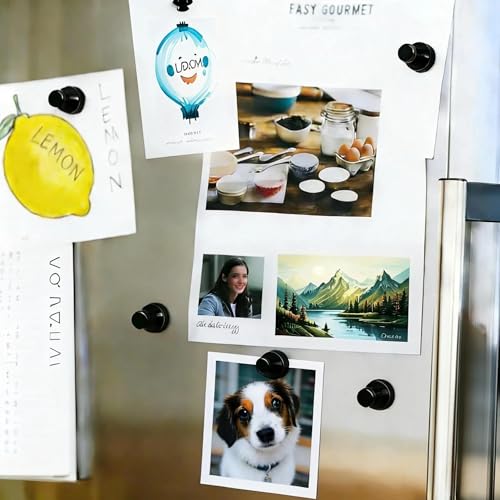Youze 8 Pack Decorative Fridge Magnets - Mini Push Pin Style