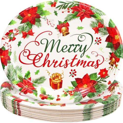 Christmas Paper Plates 24 Pack - Holiday Disposable Serving Plates with Poinsettia Design