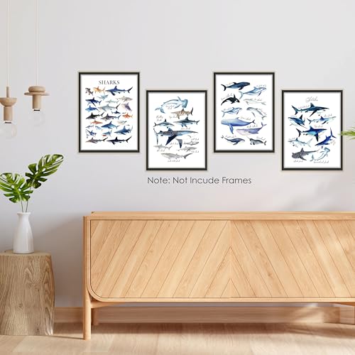 Shark and Whale Ocean Wall Art Prints Set of 4 - 12x16 Unframed