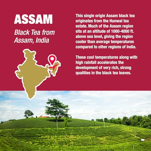 Tiesta Tea Assam Black Tea - Premium Loose Leaf in Reusable Tin, 50 Cups