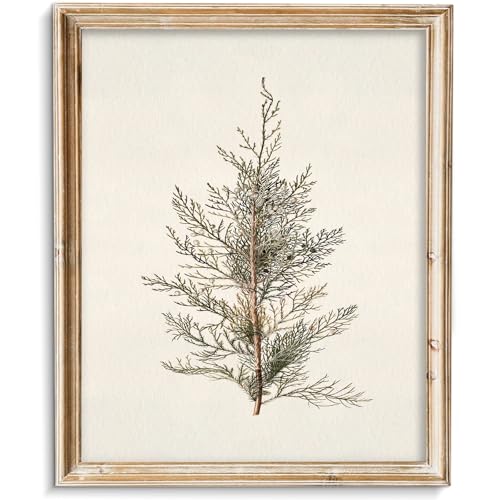 Vodefoad Vintage Cypress Tree Christmas Wall Art - 8x10 Unframed