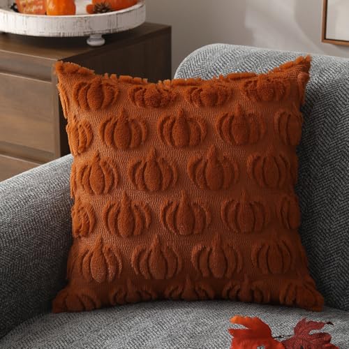 DFXSZ Rust Fall Pillow Covers 18x18 Inch, Soft Plush Set of 2