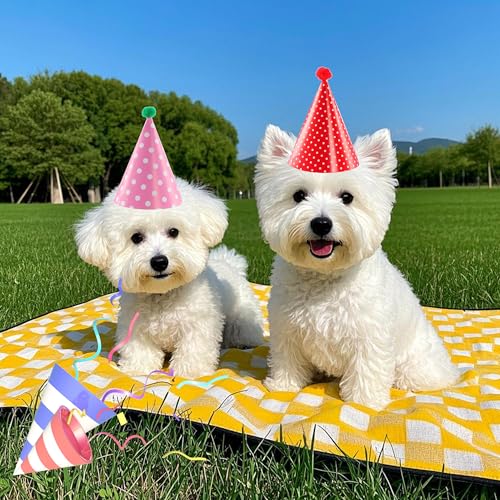 Costyleen Mini Stuffed Animal Party Hats - 11-Piece Cone & Crown Set
