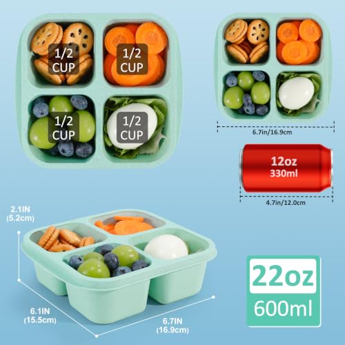 Caperci Bento Snack Boxes with Clear Lids - 4 Pack Eco-Friendly Containers
