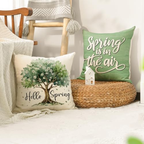 Hello Spring Tree Throw Pillow Covers Set of 4 - 18x18 Inch Eucalyptus Design