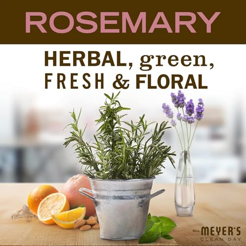 Mrs. Meyer's Clean Day Rosemary Dish Soap, 16 oz (Pack of 6)