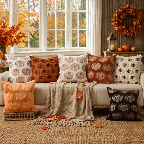 DFXSZ 18x18 Rust Pumpkin Fall Pillow Covers Set of 2 Plush Autumn Home Decor