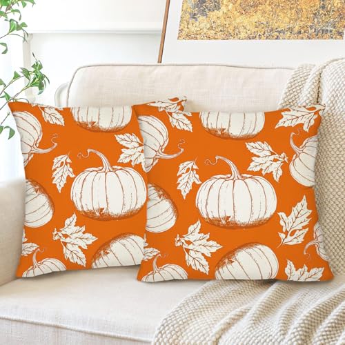 Fall Pumpkin Throw Pillow Covers 20x20 Inch Set of 2 Linen Farmhouse Decor