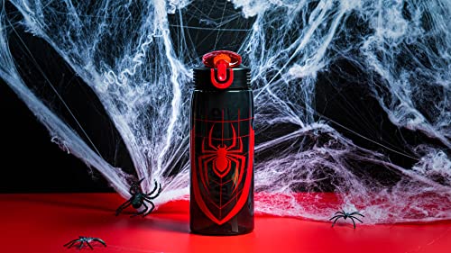 Zak Designs Spider-Man 25oz Leak-Proof Kids Water Bottle with Straw