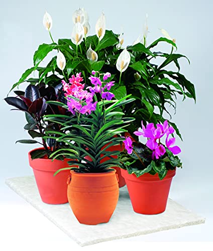 Soil Moist Vacation Watering Mats for Indoor & Outdoor Plants - 2 Count