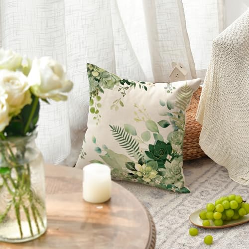 AVOIN colorlife Eucalyptus Succulents Throw Pillow Cover 18x18 Inch