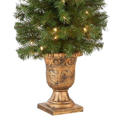 4ft Pre-Lit Montclair Spruce Christmas Entrance Tree - Artificial Holiday Tree