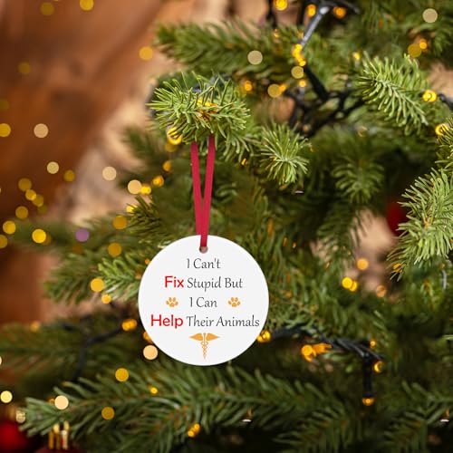 Ceramic Christmas Ornament for Veterinarians & Vet Techs - Appreciation Gift