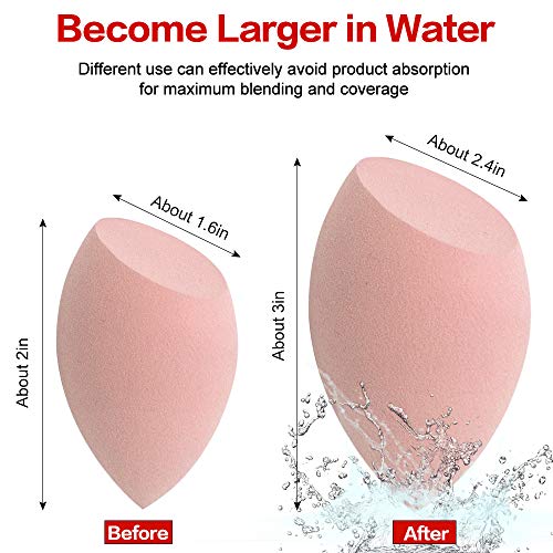 KNEEDARKYEAR 3-Piece Makeup Sponge Set for Wet and Dry Foundation Blending