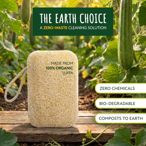 Natural Loofah Dish Sponge 3-Pack - Biodegradable Kitchen Cleaners
