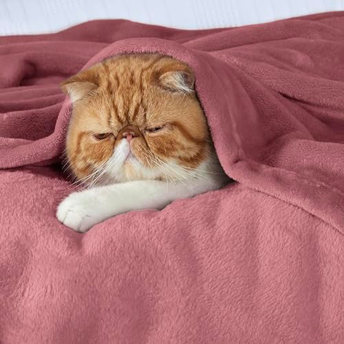 Bedsure GentleSoft Fleece Blanket Queen Size 90x90 Dusty Rose