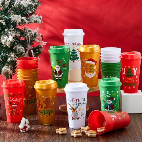 24 Pcs Christmas Coffee Tumblers with Lids - 16 oz Winter Gift Set