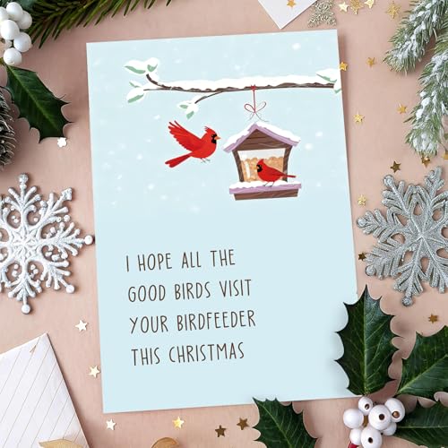 Funny Bird Feeder Christmas Card for Bird Lovers with Envelope