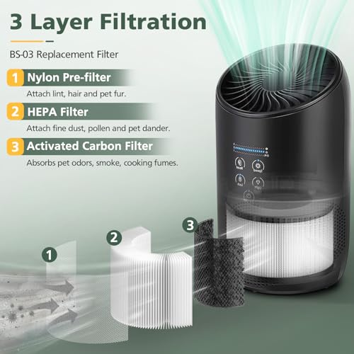 BS-03 HEPA Replacement Filter for PARTU and Slevoo Air Purifier - 1 Pack