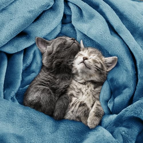 Utopia Bedding King Size Fleece Blanket - Washed Blue (90x102 Inch)